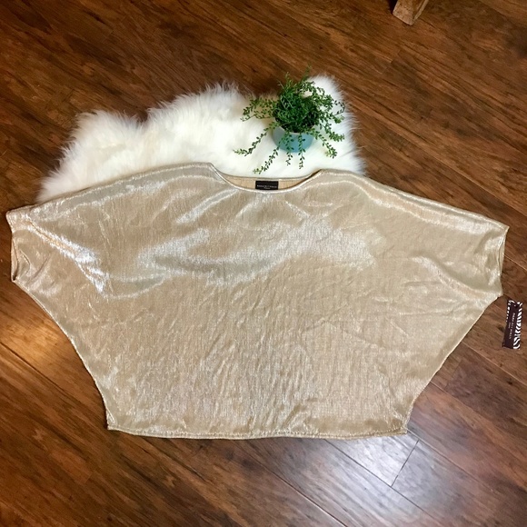 Dana Buchman Plus 2X Gold Champagne Blouse Party - Picture 1 of 8